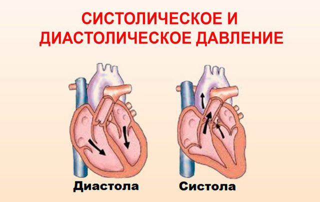 Систолическое давление высокое, а диастолическое – низкое: что делать?