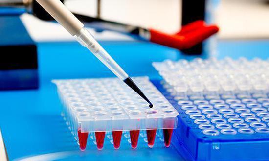 ИФА анализ крови: что такое, почему положительный, расшифровка теста