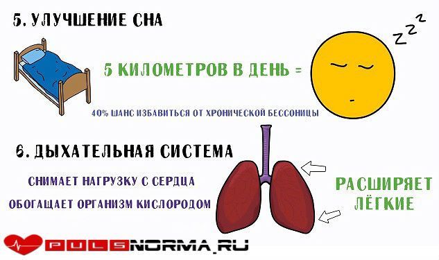 Пульс при ходьбе: норма у мужчин и женщин