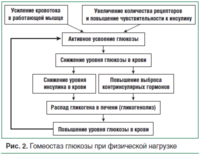Инсулин после нагрузки - Лечение диабета