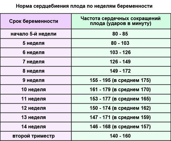Как определить пол удущего ребенка по сердцебиению - прогнозы
