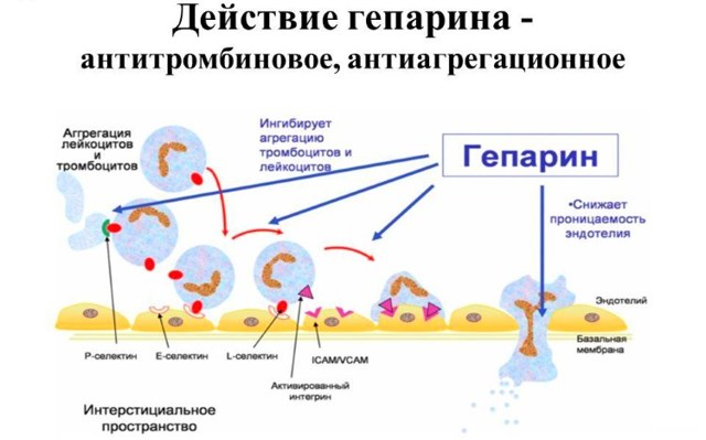 Гепариновая мазь при варикозе ног на сайте варикоз