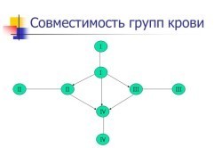 Группа крови – как определить, совместимость, на что влияет?