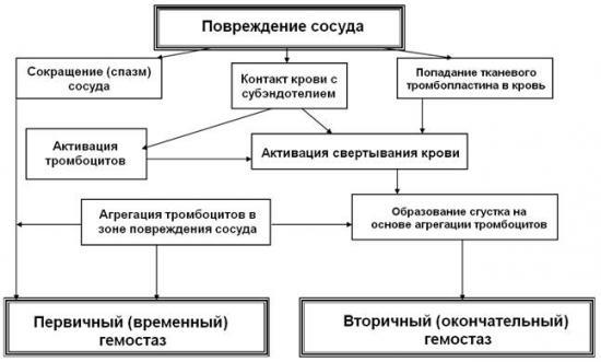 Тромбоцитарно-сосудистый гемостаз