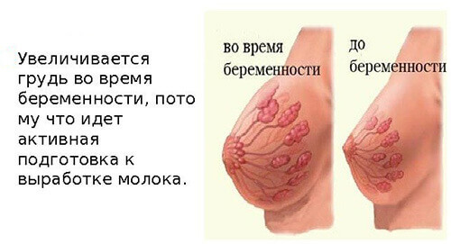 Болит грудь сбоку: причины и симптомы