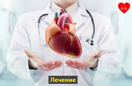 Сердце человека имеет камерное строение количество камер. Сколько камер присутствует в сердце человека