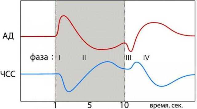 Проба и прием Вальсальвы: суть метода, сферы применения. Проба вальсальвы при варикоцеле положительная
