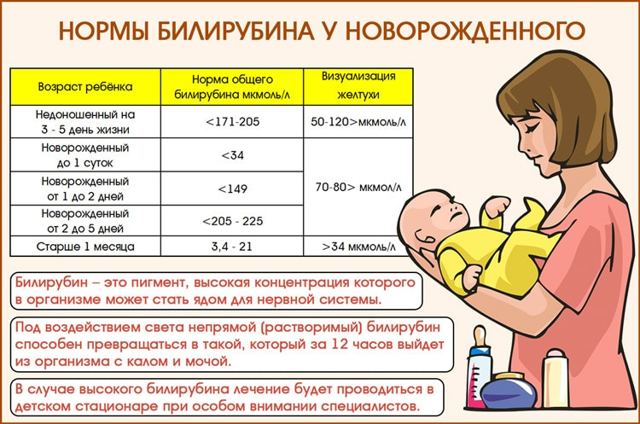 Высокий билирубин в крови у взрослых: причины и признаки, норма билирубина. Способы снизить количество вещества в крови