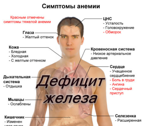 Витамины с железом для женщин и детей