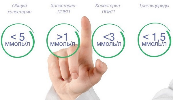 Нарушение липидного обмена: лечение народными средствами