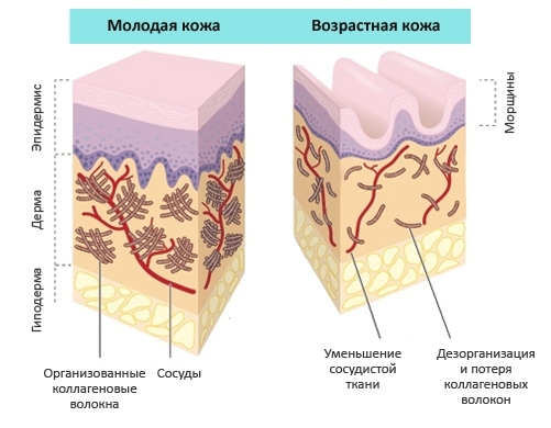 Метилурациловая мазь от чего помогает, инструкция по применению