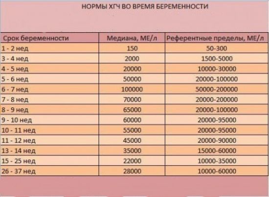 Анализ крови на ХГЧ - расшифровка, как и когда сдавать кровь на ХГЧ
