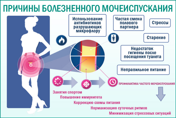 Кровь в моче: причины у женщин