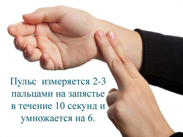 Какой пульс при беременности считается нормальным? Повышение или понижение пульса у беременной - когда это является патологией - Автор Екатерина Данилова