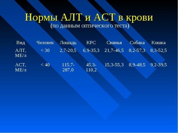 АСТ в крови – какова норма, причины повышения, что означает анализ крови АСТ?
