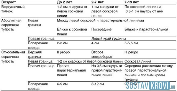 Границы сердца: норма у взрослых, детей, виды границ, сердечная тупость, лечение