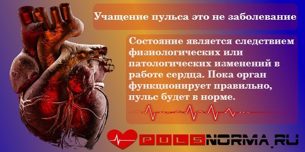 Повышенное сердцебиение, причины и лечение