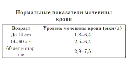 Как снизить мочевину в крови народными средствами: о чем нужно знать?