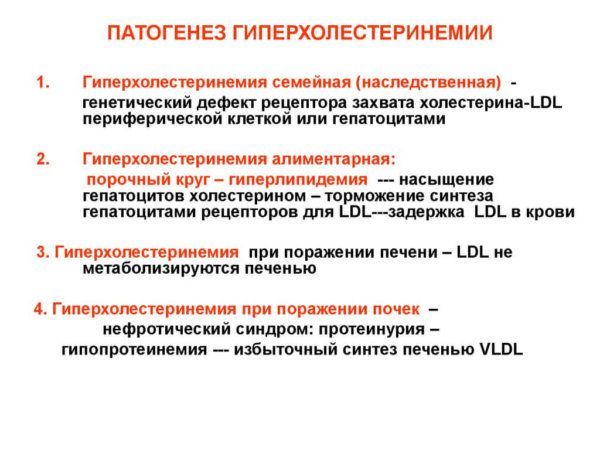 Гиперхолестеринемия – лечение, диета, семейная гиперхолестеринемия