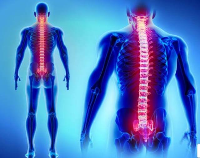 Инсульт спинного мозга (спинальный): симптомы, лечение, последствия