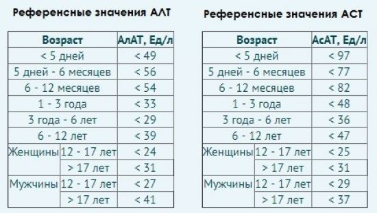 Биохимический анализ крови. АЛТ и АСТ: расшифровка показателей