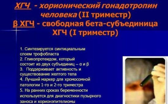 Анализ крови на ХГЧ: что это такое, когда сдавать