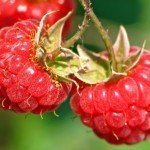 Питание при аневризма брюшной аорты -