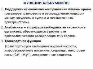 Альбумин, его свойства и функции