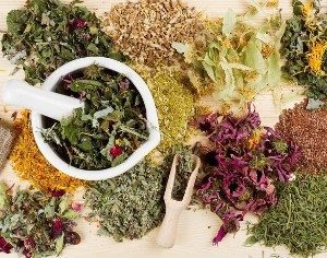 Лучшие продукты и травы для разжижения крови