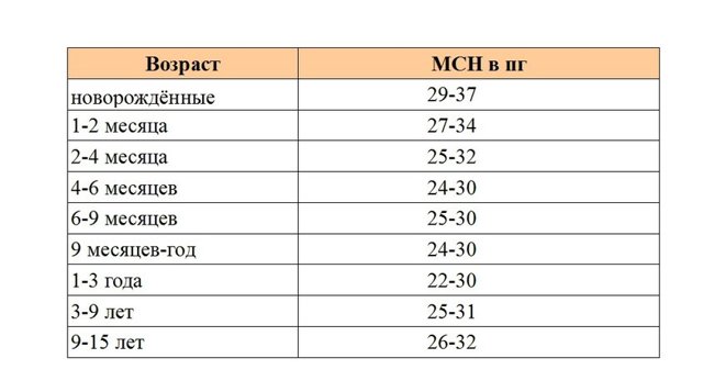 Лейкоцитарная формула у детей - норма по таблице