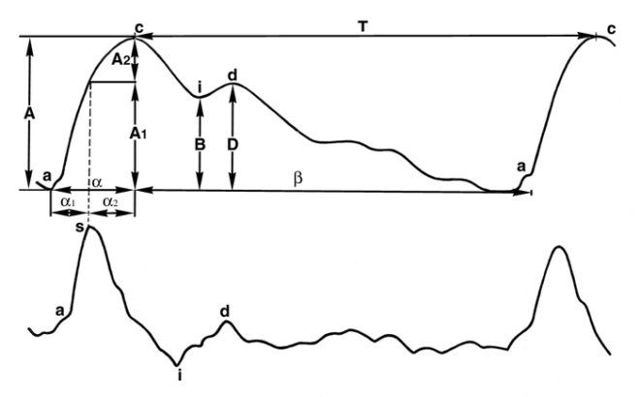 Реовазография нижних конечностей: что это такое, расшифоровка РВГ