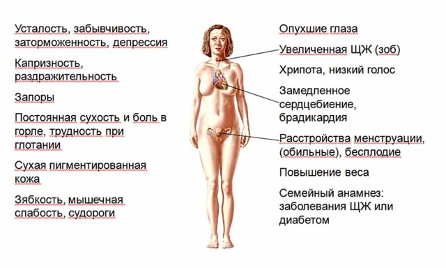 Гипертиреоз - причины, симптомы, диагностика и лечение