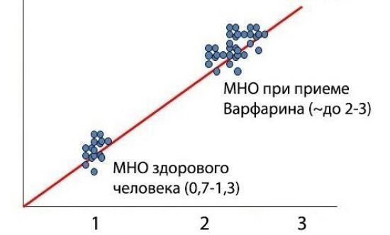 Анализ крови на МНО: что это такое, расшифровка, нормы у женщин и мужчин