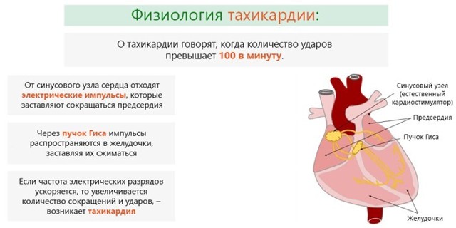 Тахикардия сердца: симптомы, диагностика и лечение - DELFI