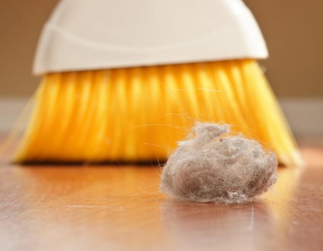 Аллергия на пыль у ребенка: симптомы, причины, лечение