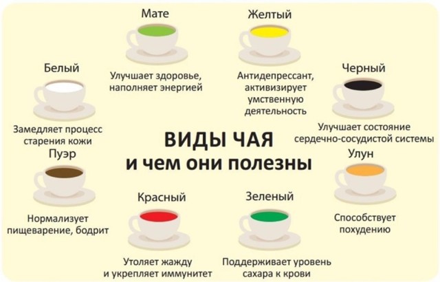 Зеленый чай повышает или понижает давление: свойства, как влияет и какой лучше пить холодный или горячий