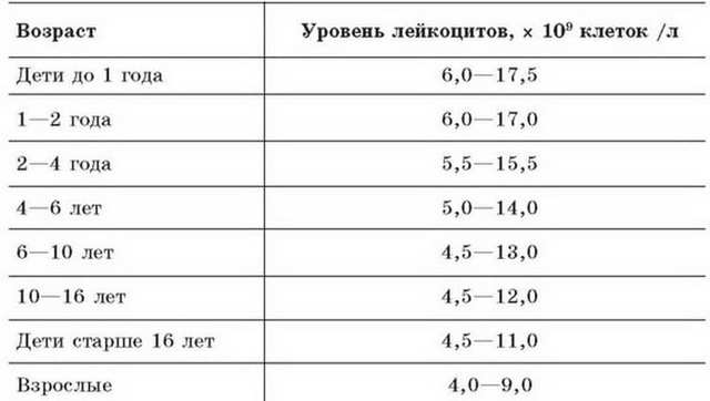 Повышены лейкоциты в крови у ребенка – причины, диагностика и способы лечения