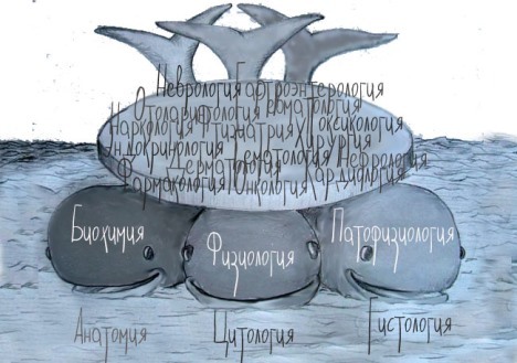 БИОХИМИЯ (биологическая химия) — Большая Медицинская Энциклопедия