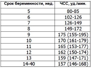 Сердцебиение плода во время беременности: таблица нормы по неделям