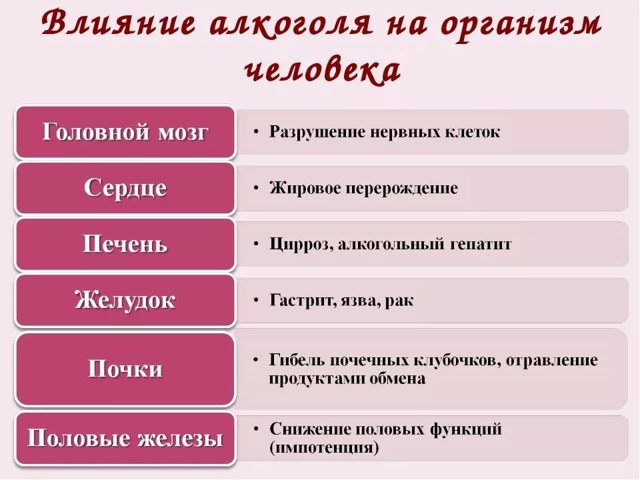 Сердце алкоголика и влияние алкоголя на него