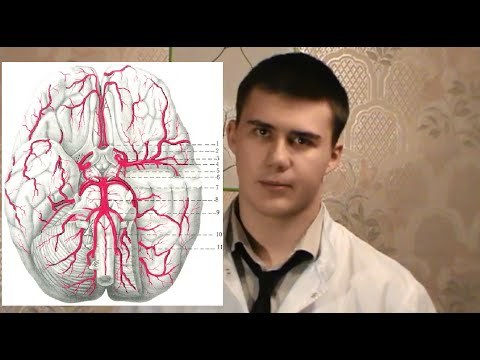 Внутренняя сонная артерия