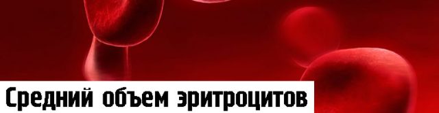 У ребенка повышен средний объем эритроцитов в крови