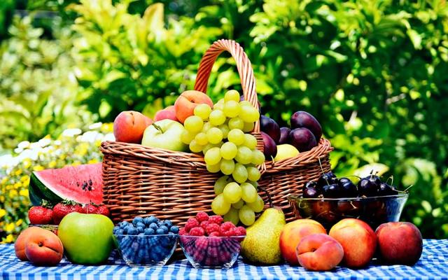 Сосуды головного мозга: заболевания, диагностика, лечение