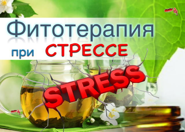 Гипотония - виды, признаки, лечение