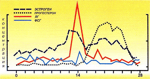 Виды анализов крови на гормоны: какой анализ сдать и когда?