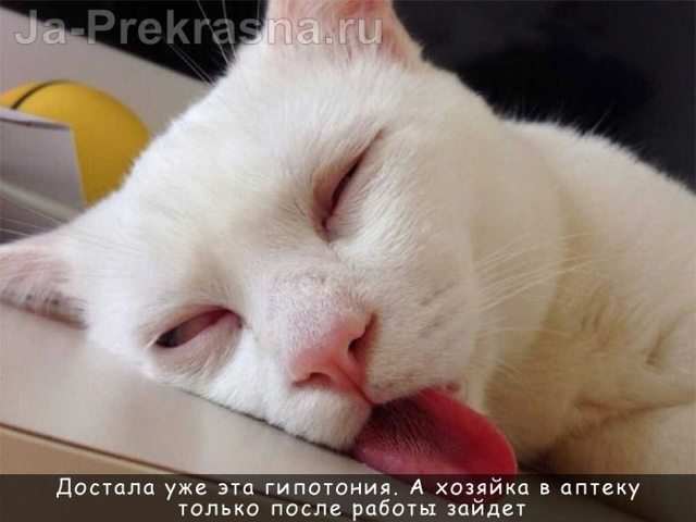 Что пить от низкого давления – какие таблетки принимать?