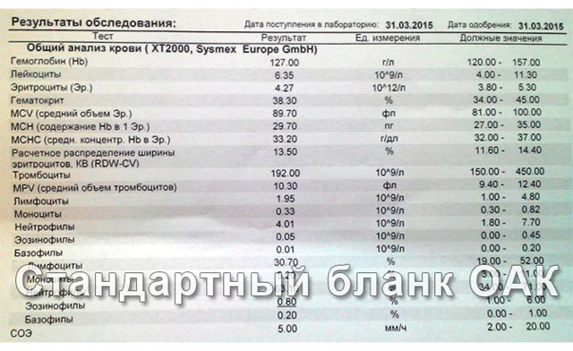 Общий анализ крови норма и расшифровка результатов таблица