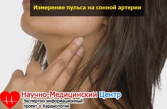 Нормальный пульс человека — Таблица показателей по возростам, нормы и показатели ритма