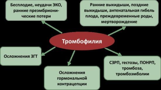 Анализ крови РФМК - что это, расшифровка коагулограммы РФМК