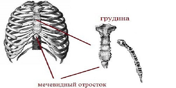 Искусственный массаж сердца и искусственное дыхание: техника проведения, правила и последовательность